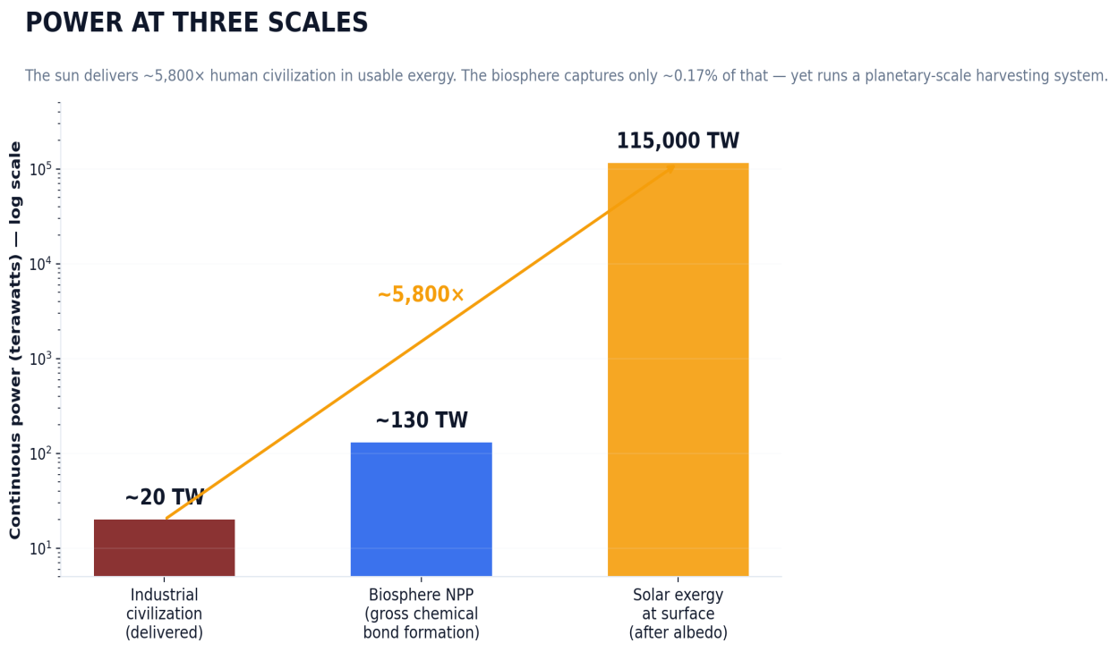 Bar chart of continuous power on a logarithmic terawatt axis: industrial civilization delivers about 20 TW, the biosphere's net primary productivity about 130 TW, and solar exergy reaching Earth's surface about 115,000 TW—roughly 5,800 times human demand.