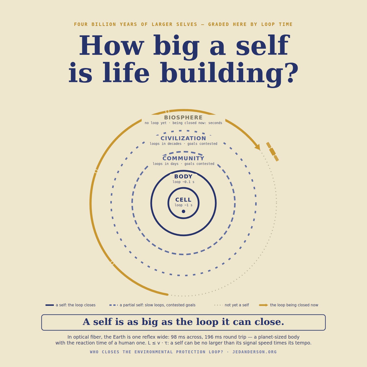 Poster asking how big a self life is building: the five rings with their loop times—cell about one second, body a tenth of a second, community days, civilization decades, biosphere none yet, being closed now in seconds—with a gold arc closing the outer ring, a legend grading selves and partial selves, and the physics footer noting that in optical fiber the Earth is one reflex wide.