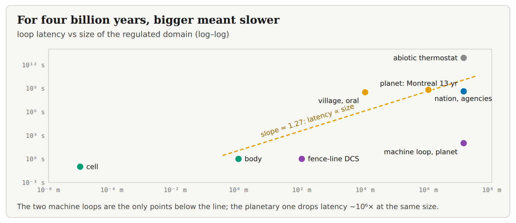 Log-log plot of loop latency against the size of the regulated domain: cell, body, village, nation, the Montreal Protocol, and the abiotic thermostat, falling near a single line, with two machine loops far below it.