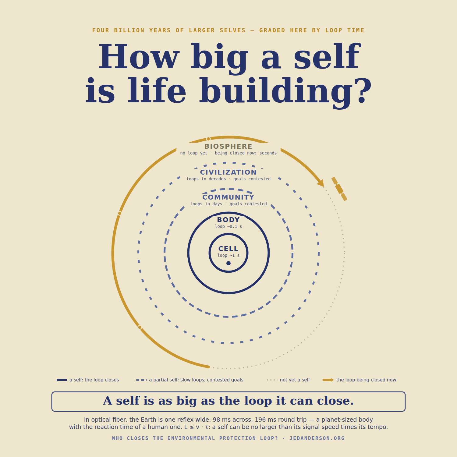 Poster: How big a self is life building? The five rings with loop times—cell about one second, body a tenth of a second, community days, civilization decades, biosphere none yet, being closed now in seconds—with the gold arc closing the outer ring, the legend grading selves and partial selves, and the physics footer: in optical fiber the Earth is one reflex wide.
